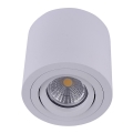 Emithor 48606 - Griestu lampa SURFACE 1xGU10/50W/230V