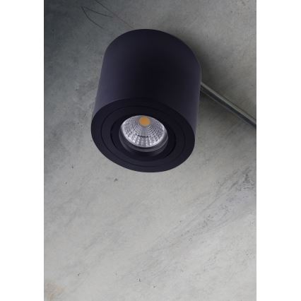 Emithor 48607 - Griestu lampa SURFACE 1xGU10/50W/230V