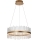 Endon 107671 - LED Aptumšojama lustra ar auklu ADRIEL LED/41W/230V 3000K d. 51 cm zelta/caurspīdīga