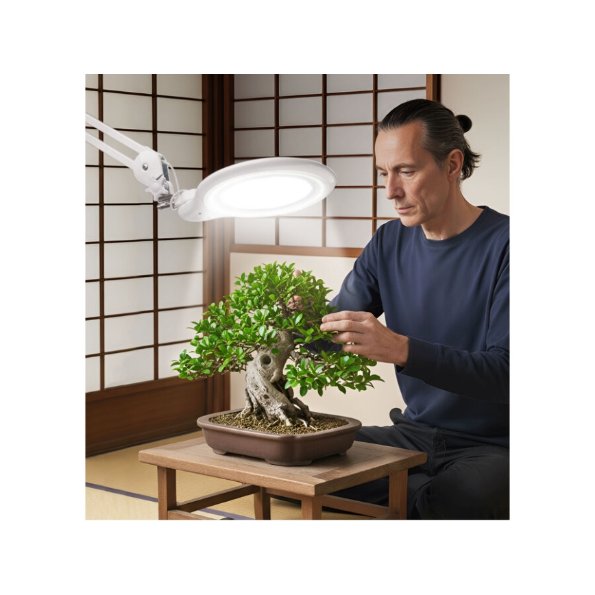 Extol - regulējama LED galda lampa ar palielināmo lupu LED/10W/230V balta