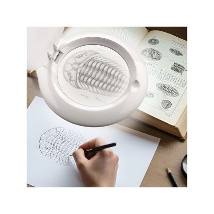 Extol - regulējama LED galda lampa ar palielināmo lupu LED/10W/230V balta