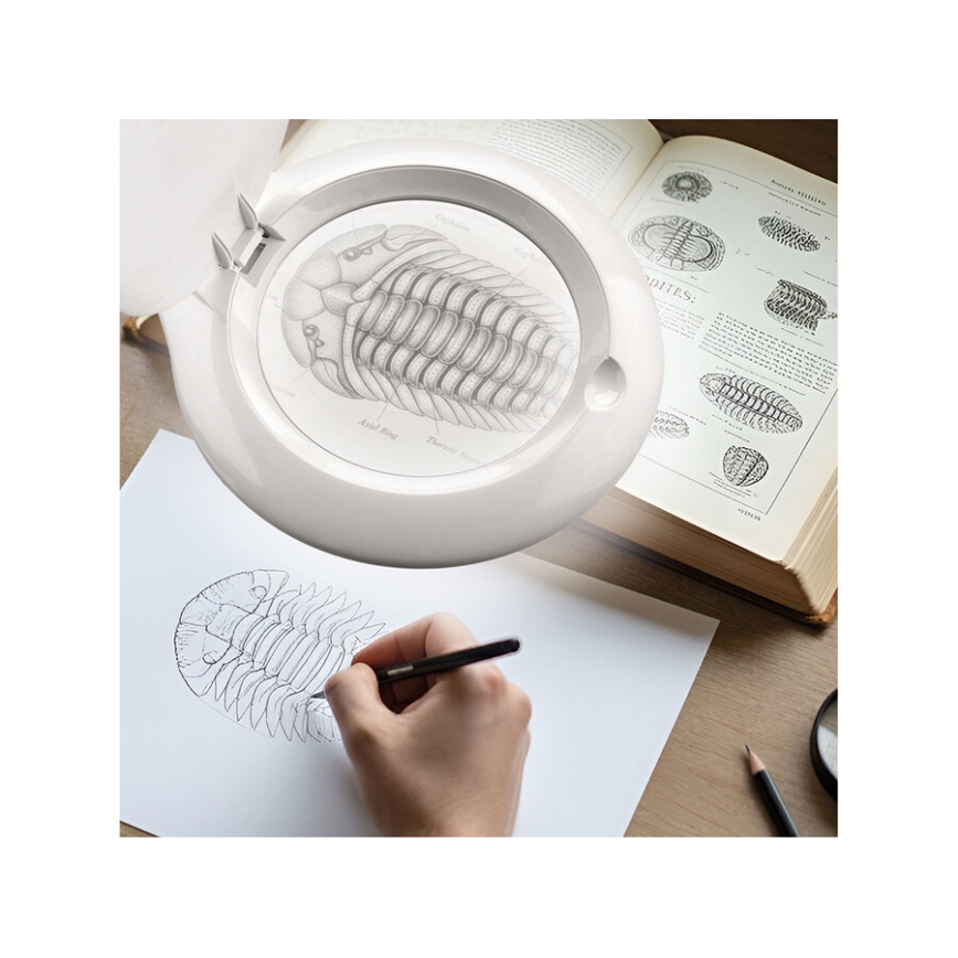 Extol - regulējama LED galda lampa ar palielināmo lupu LED/10W/230V balta