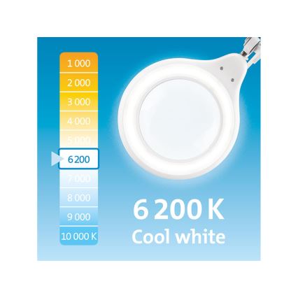 Extol - regulējama LED galda lampa ar palielināmo lupu LED/10W/230V balta