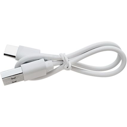 Extol - Uzlādējama lupa ar LED apgaismojumu un regulējamu spilgtumu/650 mAh balta/pelēka