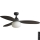 FARO 34301-11L - Griestu ventilators PALMA 1xE27/15W/230V brūna d. 129 cm IP44 + tālvadības pults