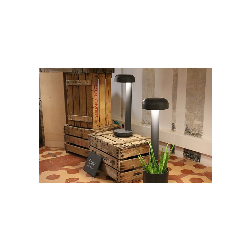 FARO 71206 - LED āra gaismeklis GROW 1xLED/9W/230V