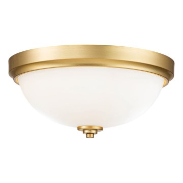 Feiss - Vannas istabas griestu lampa MALIBU 2xE27/60W/230V IP44