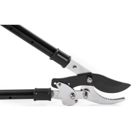 Fieldmann - teleskopiskās dārza šķēres ar sviru