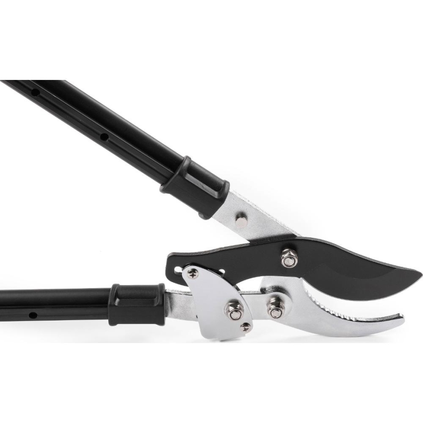 Fieldmann - teleskopiskās dārza šķēres ar sviru