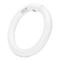 Fluorescējošā caurule T9 G10Q/22W/230V 6500K - Aigostar