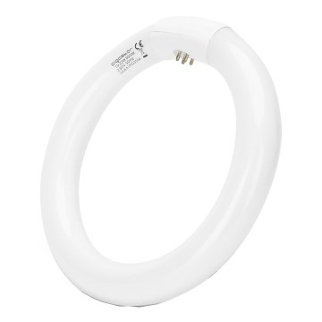 Fluorescējošā caurule T9 G10Q/22W/230V 6500K - Aigostar