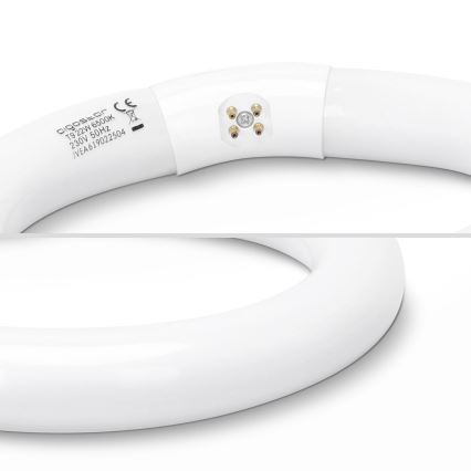 Fluorescējošā caurule T9 G10Q/22W/230V 6500K - Aigostar