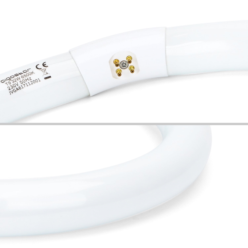 Fluorescējošā caurule T9 G10q/32W/230V 6500K - Aigostar
