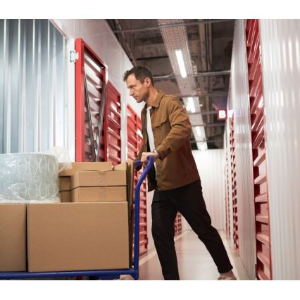 Fluorescentais gaismeklis T8 DELFIA 2xG13/18W/230V 124 cm balts