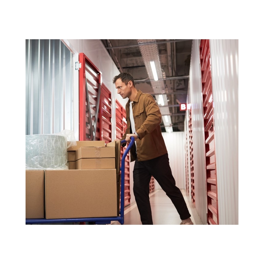 Fluorescentais gaismeklis T8 DELFIA 2xG13/18W/230V 124 cm balts