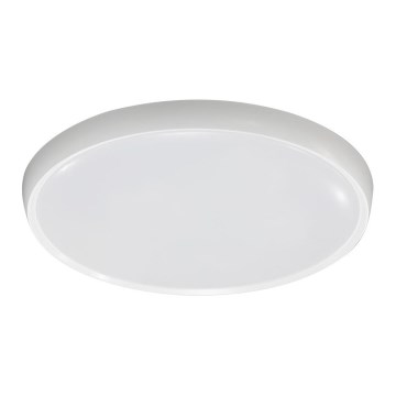 Fulgur 28818 - Rāmis ar gaismas izkliedētāju VERA 420