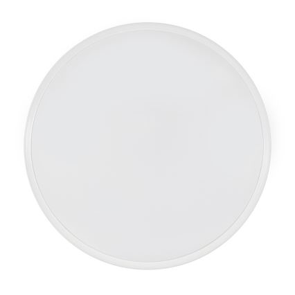 Fulgur 28818 - Rāmis ar gaismas izkliedētāju VERA 420