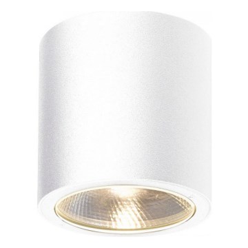 Gardino LX2236-COB - LED Āra starmetis LAVANDA LED/7W/230V IP54