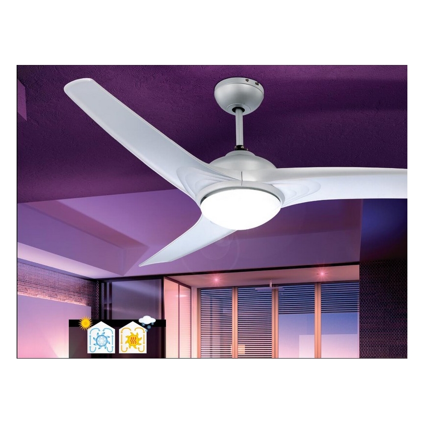 Globo - Griestu ventilators 2xE14/40W/230V