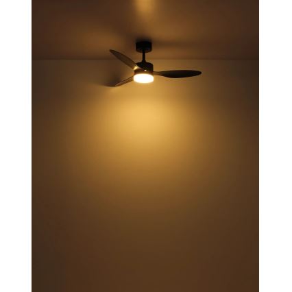 Globo - LED Aptumšojams griestu ventilators LED/20W/230V 2700-6500K + tālvadības pults