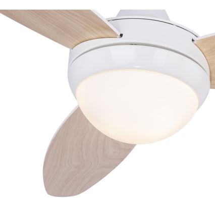Globo 03612 - Griestu ventilators CORDULA 2xE14/40W/230V + Tālvadības pults