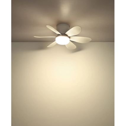 Globo - LED griestu ventilators ar regulējamu spilgtumu LED/5W/230V 2700-6500K balts + tālvadība