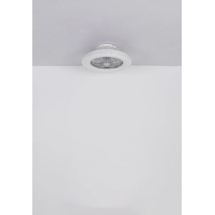 Globo - LED Aptumšojams griestu ventilators LED/40W/230V 3000-6500K + tālvadības pults