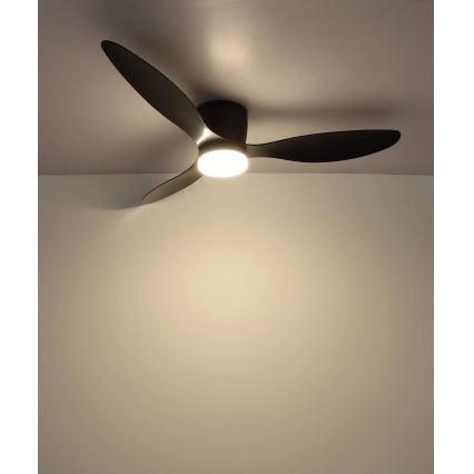 Globo - LED regulējams griestu ventilators LED/20W/230V 3000-6500K + tālvadība