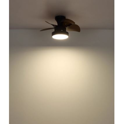 Globo - griestu ventilators ar dimējamu LED apgaismojumu, 22 W, 230 V, 3000/4500/6000 K, brūns + tālvadība