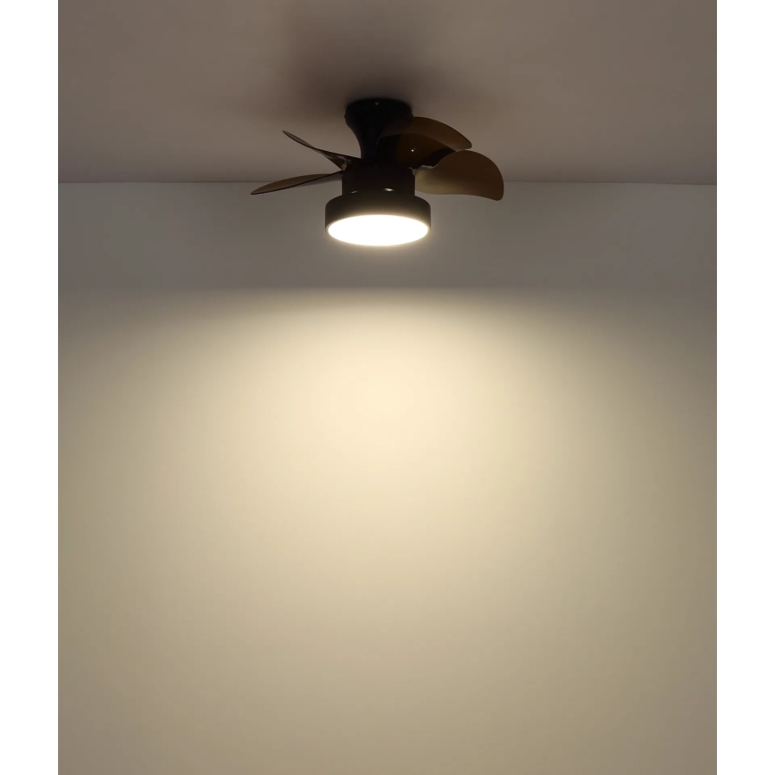 Globo - griestu ventilators ar dimējamu LED apgaismojumu, 22 W, 230 V, 3000/4500/6000 K, brūns + tālvadība
