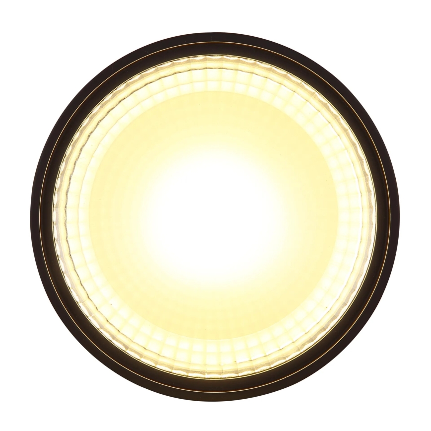 Globo - LED Griestu lampa LED/12W/230V 3000K
