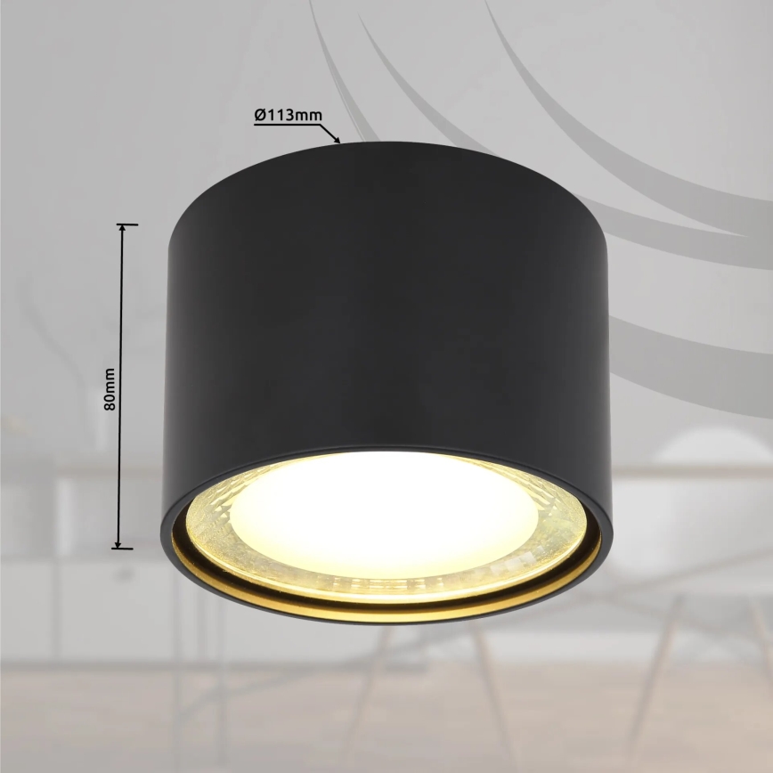Globo - LED Griestu lampa LED/12W/230V 3000K