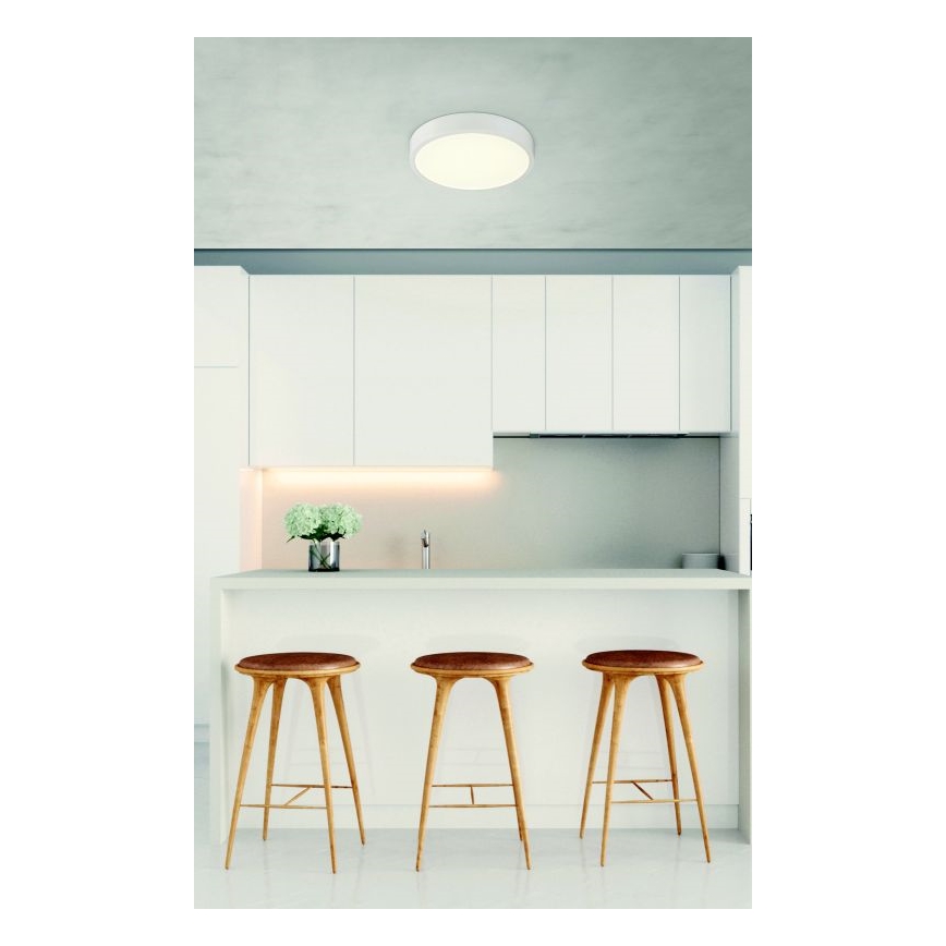 Globo - LED Aptumšojama griestu lampa LED/22W/230V