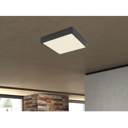 Globo - LED griestu gaismeklis LED/28W/230V