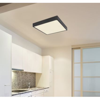 Globo - LED griestu gaismeklis LED/28W/230V