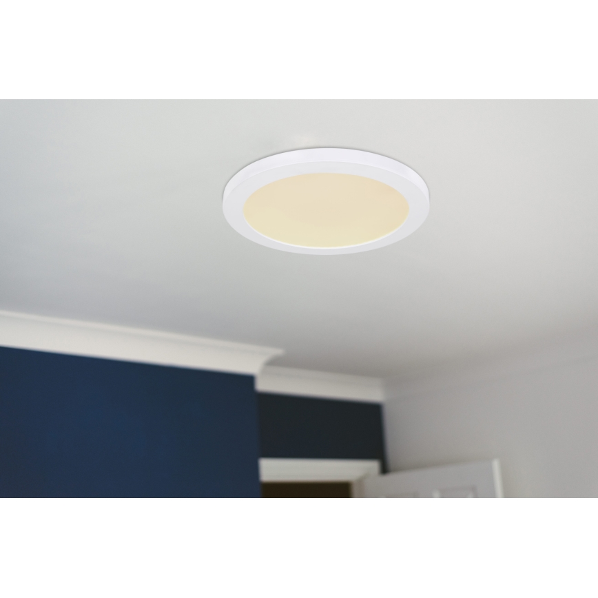 Globo - LED Griestu lampa LED/24W/230V 3000/4000/6500K balta