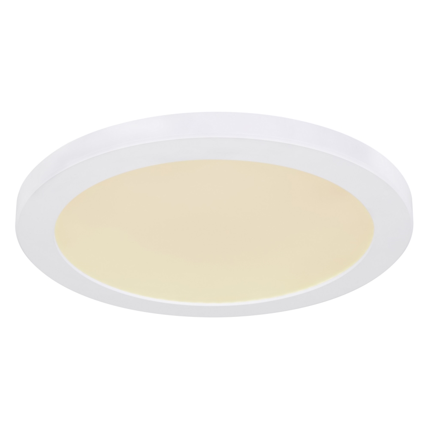 Globo - LED Griestu lampa LED/24W/230V 3000/4000/6500K balta