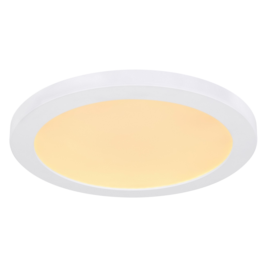 Globo - LED Griestu lampa LED/24W/230V 3000/4000/6500K balta