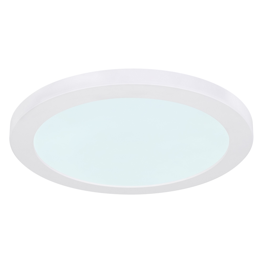Globo - LED Griestu lampa LED/24W/230V 3000/4000/6500K balta