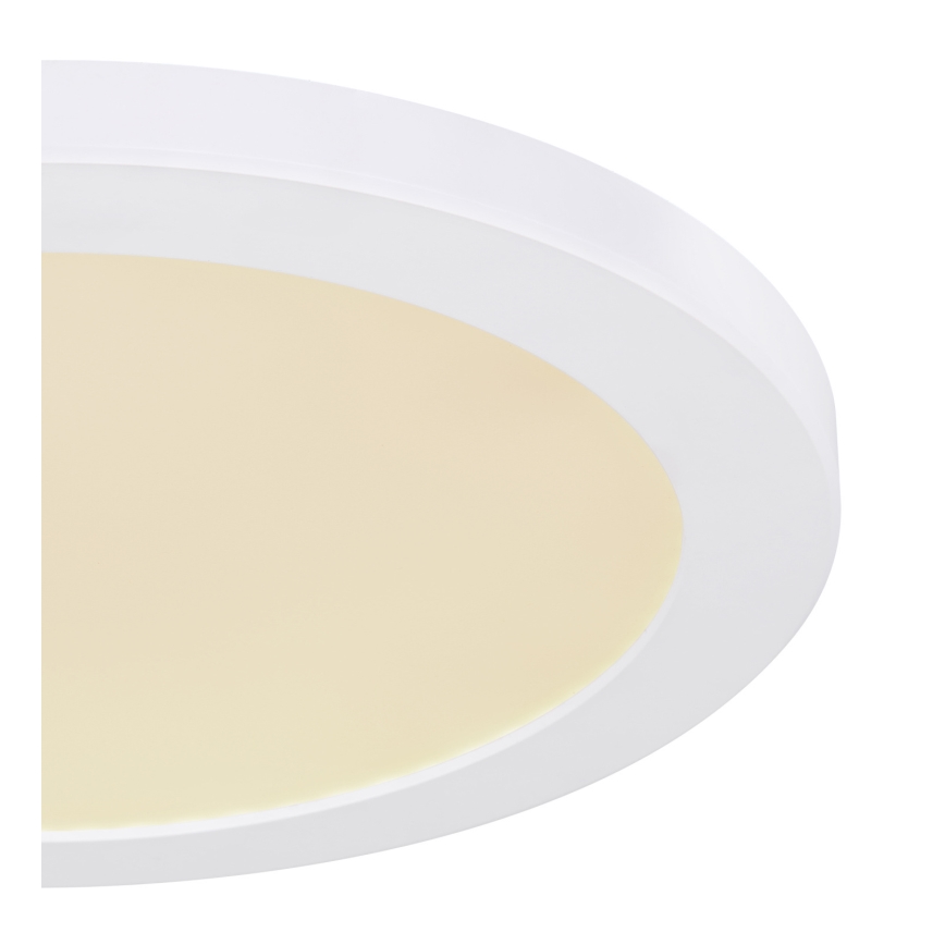 Globo - LED Griestu lampa LED/24W/230V 3000/4000/6500K balta