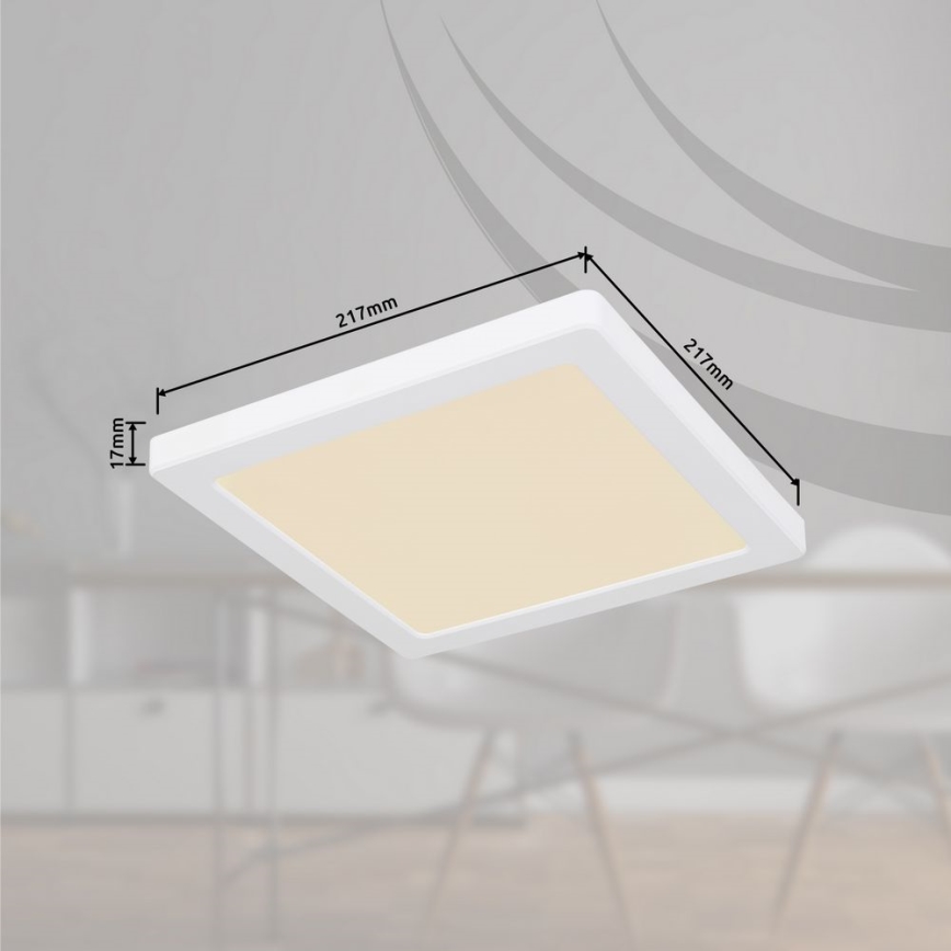 Globo - LED Griestu lampa LED/18W/230V 3000/4000/6500K balta
