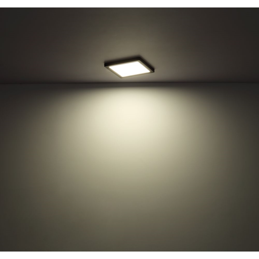 Globo - LED Griestu lampa LED/24W/230V 3000/4000/6500K melna