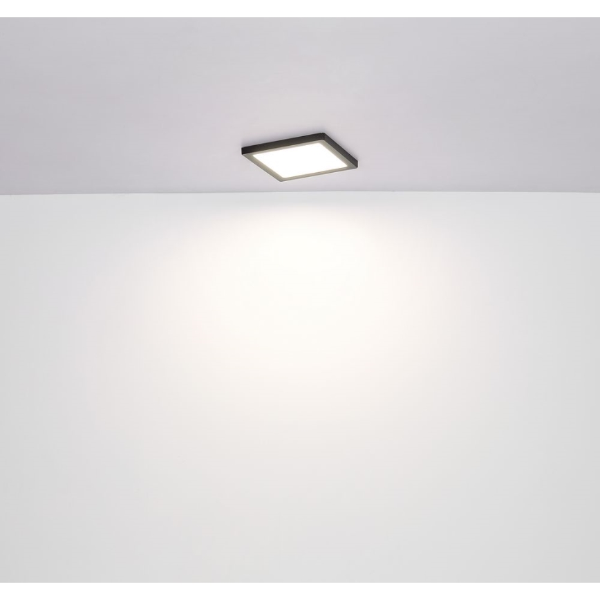 Globo - LED Griestu lampa LED/24W/230V 3000/4000/6500K melna