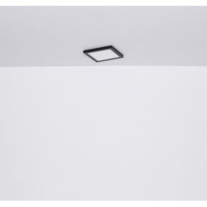 Globo - LED Griestu lampa LED/24W/230V 3000/4000/6500K melna