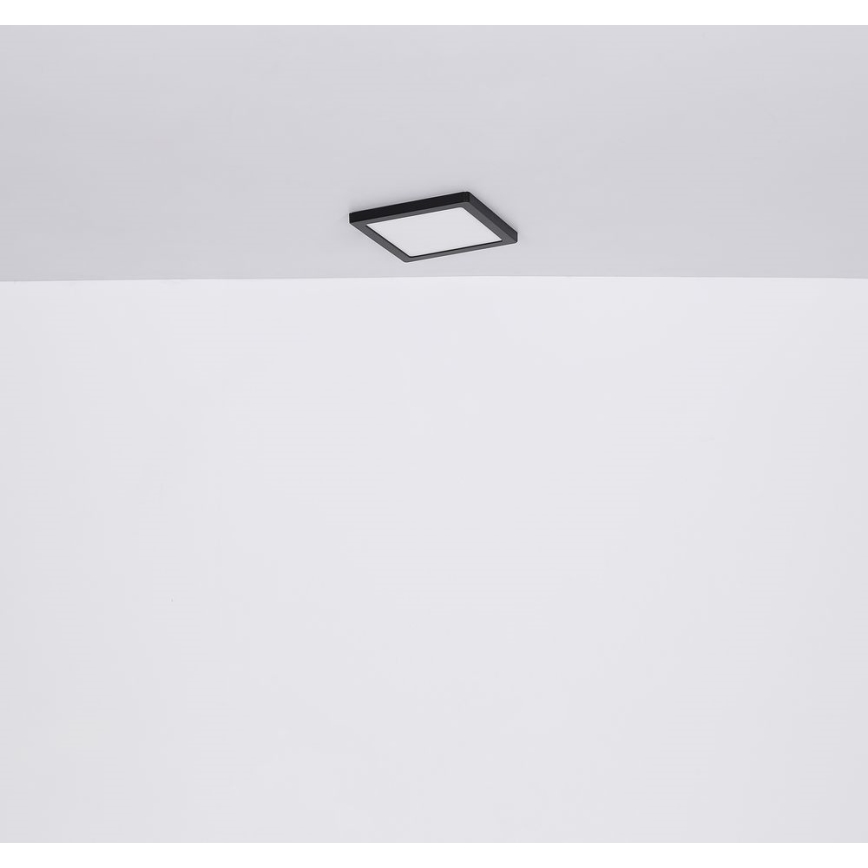 Globo - LED Griestu lampa LED/24W/230V 3000/4000/6500K melna