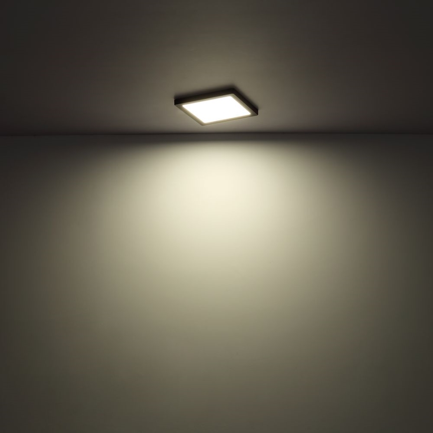 Globo - LED Griestu lampa LED/24W/230V 3000/4000/6500K balta