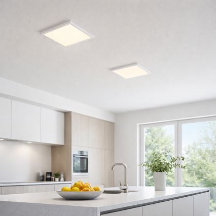 Globo - LED Griestu lampa LED/24W/230V 3000/4000/6500K balta