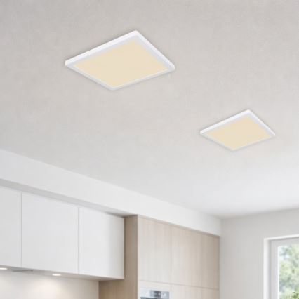 Globo - LED Griestu lampa LED/24W/230V 3000/4000/6500K balta