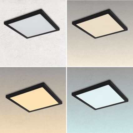 Globo - LED Griestu lampa LED/24W/230V 3000/4000/6500K balta