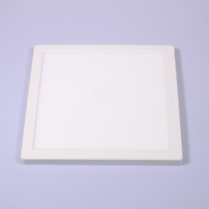 Globo - LED Griestu lampa LED/24W/230V 3000/4000/6500K balta